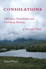 Consolations: The Solace, Nourishment and Underlying Meaning of Ev - VERY GOOD picture