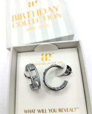 Bomb Party (BP) April 2026 Birthday: The Isadora Hoop Hematite plated earrings picture