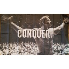 Original Arnold Schwarzenegger Conquer 3x5 Feet Flag Banner College Dorm Frat picture