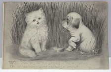 Kitten Puppy Cat Dog Friendship Poem Vincent Colby 1909 Antique Postcard picture