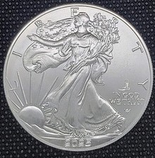 2025 W American .999 Silver Eagle W/ Eagle Privy Mark - rare 500k Mintage  picture
