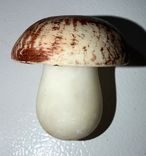 Rare Antique Stone/Alabaster Vegetable - Mushroom picture