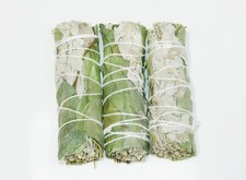 Sage Smudge Sticks 4