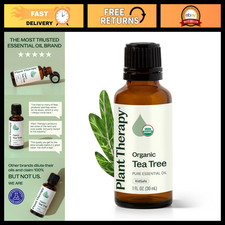 Organic Tea Tree Oil 30 mL - Pure Melaleuca Essential Oil, USDA Certified, Natur picture