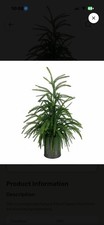 21” Artificial Norfolk Pine Tree Faux Potted Plant Realistic Indoor Home Decor picture