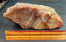 Large Opal/Agate Replaced Petrified Wood Arizona 2lb 2oz picture