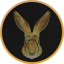 RARE 100pc LUNAR RABBIT Calendar V1 Silver Coin 2023 Chad OPTICAL ILLUSION Gl.pl picture