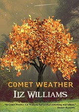 Comet Weather - VERY GOOD picture