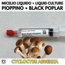 Poplar Liquid Culture 10ml Mycelium Live Gourmet Mushrooms picture