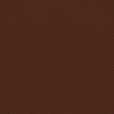 Ford King Ranch Chaparral Leather Dye picture