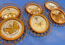 Vintage 1970s Preserved Butterfly Rattan & Glass Coasters Set 6 picture