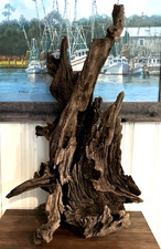 LARGE Natural Driftwood ART 20LBS Gorgeous 27