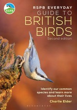 RSPB Everyday Guide to British Birds: Identify our common ...  (paperback) picture