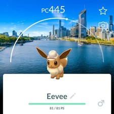 NOT SHINY EEVEE - BG SAFARI BRISBANE picture
