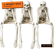 Halloween Skeleton Decor, 3-Piece Resin Skeleton Figurines Set for Home picture