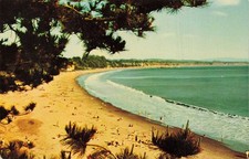 New Brighton State Beach Aptos CA Mirro-Krome Postcard 1960s California Coast picture