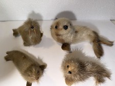Vintage West Germany Arctic Seal Fur Figurines Lot of 4 Walrus Seals Real Fur picture
