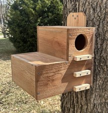 XXL Squirrel House Nesting Box W Preditor Guard Solid Cedar Handmade Durable Big picture