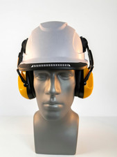 Radians Combo- HYPEMAN Ratchet Vented  Cap Style Hard Hat + DEWALT Earmuff picture