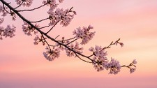 Digital Image Picture Photo Wallpaper Background Desktop AI Art Sample Product picture