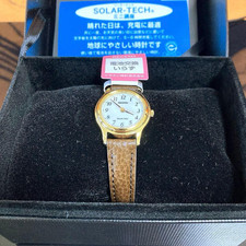Citizen REGUNO RS26-0031C Solar Tech Quartz Watch Standard Model Japan picture
