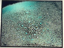 June Wayne “Viridian” Modern American Lithograph Art 35mm Slide picture