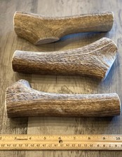 JUMBO Elk Antler Premium Dog Chew (1pc) **OREGON ANTLER WORKS** picture