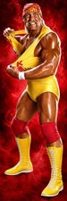 WWE GIANT 2’X6’ VINYL BANNER  - HULK HOGAN picture