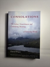 Consolations : The Solace, Nourishment and Underlying Meaning (B-10) picture