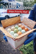 12 Fertile Hatching Eggs – Easter Egger Blue/Green + Brown Barnyard Mix picture