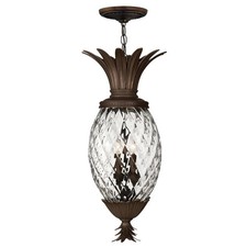 Hinkley Plantation 2222CB Extra Large Hanging Lantern picture