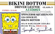 Funny SpongeBob Squarepants Boat License  NEW picture