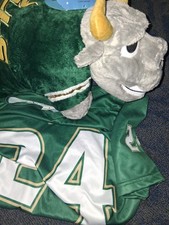 USF South Florida Bulls NCAA Adult Large Dry Fit Football Jersey and pillow pet picture