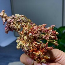 198G Rare iridescent Native Copper crystal mineral specimen picture