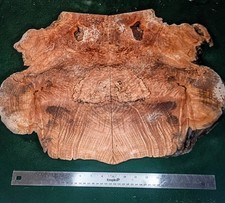 Bookmatched Maple Burl Slabs 16 x 11 x 7/8 Highly Figured Spalted Live Edge picture