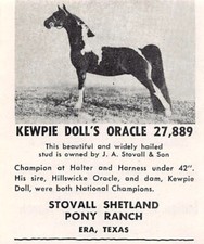 J A Stovall & Son Shetland Pony Ranch Kewpie Doll's Oracle Era TX Vtg Print Ad picture