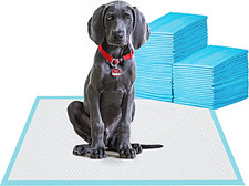Quick Absorb 23.6×23.6 Inch Dog Pee Pads 100pcs  for Dogs & Cats picture