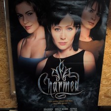 Charmed TV Show Poster Original WB Promo Featuring Alyssa Milano & Rose McGowan picture