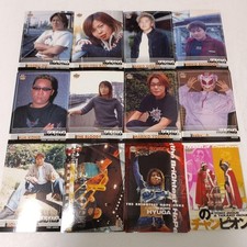 BBM Women's Pro Wrestling Cards 2002 Regular, no duplicates, semi-complete, picture