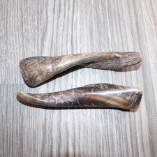 2 Small Polished Goat Horns #967      Natural Colored picture