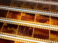 Color Film Process and Scan (35mm,120 Roll) C41 Process *Professional Service* picture