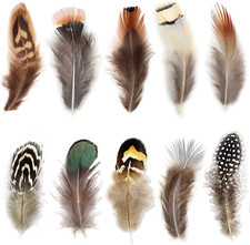 300Pcs 10 Style Natural Feathers Assorted Mixed Feathers for Dream Catcher picture