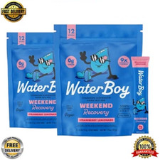 Waterboy Weekend Recovery Strawberry Lemonade L-Theanine + Vitamins 24 Stick USA picture