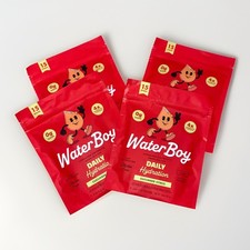 4 PACK LOT Waterboy Daily Hydration Multiplier Electrolyte Powder Sticks 0 Sugar picture