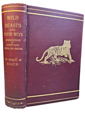 1898 Antique Ornate Victorian Book WILD BEASTS & THEIR WAYS 1st Ed Big Game Hunt picture