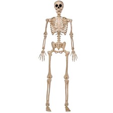 JOYIN 5 FT Halloween Skeleton Life Size, Stayable Posable 5 FT, Gray picture