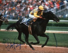 Sunday Silence 1989 Kentucky Derby 8x10 Signed Pat Valenzuela picture