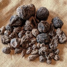 High John root | The Conqueror Root | Wicca Pagan Curio Magick | 2 oz picture