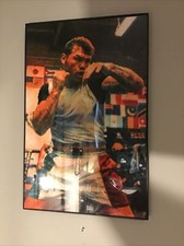 Canelo Alvarez 11x17 Iconic Boxing Fight Poster Art print Framed picture