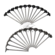Intake & Exhaust Valves for 14-23 Ram 1500 3.0 EcoDiesel 68147269AA 68147265AA picture